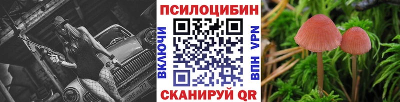 цены   Свободный  Галлюциногенные грибы Psilocybe 
